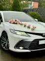 Комплект свадебных украшений для автомобиля