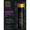 ESTEL PROFESSIONAL Шампунь-приворот жива ягода Сказочная для сияния и защиты цвета окрашенных волос, 1000 мл