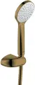 Душевой набор Damixa Eclipse, цвет золото, шланг, лейка, настенный держатель