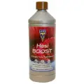 HESI Boost 1 л