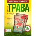 Газонная трава семена Элитная 10кг / Канада Грин Элит 10кг/ Canada Green Elite 10кг/ семена газона райграс, мятлик, овсяница