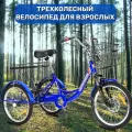 Трехколесный велосипед для взрослых РВЗ Чемпион синий 20 кол -enj