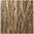 Фон Repti-zoo натуральная кора на пробке, 45*45 см