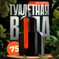 Туалетная вода Full Speed для него, 75 мл