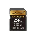 Карта памяти Exascend Catalyst UHS-II SD V60 256GB