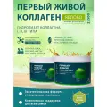 Улучшенная формула Живого Коллагена с эластином. Набор из 2-х баночек яблоко по 500гр
