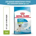 Сухой корм для щенков Royal Canin X-Small Puppy для миниатюрных пород, 3 кг