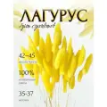 Сухоцветы StabFlora Зайцехвост, лагурус, натуральные, желтые, 35 штук