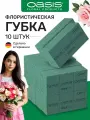 Губка флористическая пена Оазис Classic пиафлор 10 шт.