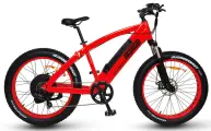 Электровелосипед, фэтбайк Медведь 2.0 HD 750