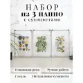 Панно из засушенных цветов в стекле — гербарий ручной работы, украшение для интерьера