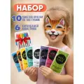 Holi Like Фестивальные краски холи, набор для праздника 10 шт. по 100 гр с аквагримом