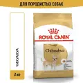 Сухой корм Royal Canin Chihuahua Adult для собак породы чихуахуа Птица, 3 кг.