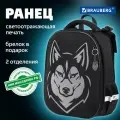Ранец Brauberg SHINY, 2 отделения, с брелоком, Husky, светящийся рисунок, 38х28х14 см, 271383