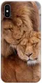 Силиконовый чехол на Apple iPhone Xs / X / Эпл Айфон Икс / Икс Эс с рисунком Милые львы
