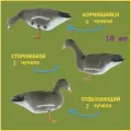 Чучела гусей для охоты (10шт) Белолобые сминаемые на ножке (XPE)