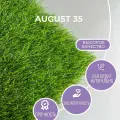 Искусственный газон August 35мм. ворc 1.5х3м (4.5кв. м), цвет зелёный