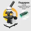 Микроскоп Levenhuk Rainbow 2L PLUS Moonstone\Лунный камень
