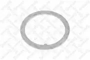 Шайба стопорное кольцо ступицы SAF