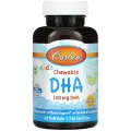 Kid's Chewable DHA таб. жев., 100 г, 120 шт., 1 уп., апельсин