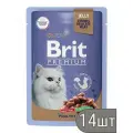 Brit Набор 14 шт Пауч для взрослых кошек Premium Ассорти из птицы в желе, 85г 1.19 кг