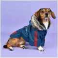 Куртка для собак утеплённая с капюшоном PUPPIA Brock, синяя, M (Южная Корея)