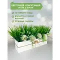 Искусственная трава в ящике для дома и офиса, ПоДар. Ок Home