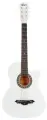 Акустическая гитара Belucci BC3820 WH