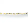Светодиодная лента белого свечения 24В, Lightstar 420824_LS, IP20