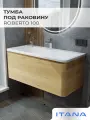 Тумба под раковину в ванную, тумба для ванной Итана Roberto 100 992х453х400 подвесная Дуб Мавелла Голд