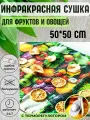 Сушилка для овощей и фруктов Самобранка, 50х50 см с терморегулятором