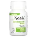Kyolic, Экстракт выдержанного чеснока, для сердечно-сосудистой системы, формула 100, 100 таблеток