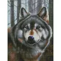 Алмазная мозаика Белоснежка Волк / Набор алмазной мозаики 30х40 см / На холсте / Полная выкладка / Животные