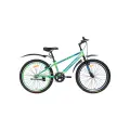 Велосипед VELTORY 4001, горный, зелёный, для девочек/мальчиков, рама 11,5, рост 130-150, 24