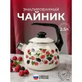 Чайник эмалированный Лысьвенские эмали Ежевика 2.5л со свистком универсальный цвет белый