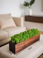 Кашпо со стабилизированным мхом 40*9 cм Венге