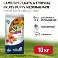 Farmina N&D Dog Tropical Selection Lamb Puppy Medium&Maxi сухой корм для щенков средних и крупных пород, с ягненком - 10 кг
