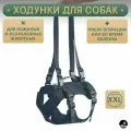 Ходунки для собак, пожилых и травмированных. Размер XXL