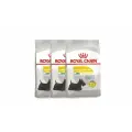 Royal Canin Mini Dermacomfort сухой корм для собак мелких пород, склонных к разражению кожи и зуду - 3 кг х 3 шт.
