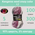 Пряжа Color City Kangaroo wool crazy color 17 (100г/300м, упаковка 5 мотков)