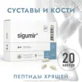 Сигумир капс., 19 г, 20 шт., 1 уп.