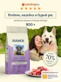 AVANCE holistic Полнорационный сухой корм для взрослых собак крупных пород с ягненком, индейкой и бурым рисом, Adult Dog Large Breeds lamb, turkey and brownn rice, 0,8 кг