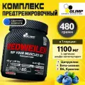 Предтренировочный комплекс для выносливости и энергии, Olimp Sport Nutrition Redweiler, порошок 480 г со вкусом Голубики