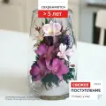 Композиция из живых цветов в герметичной вазе 25.7 см, сохраняется от 5 лет, серия Oriety 5311