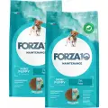 FORZA10 DOG MAINTENANCE MINI PUPPY для щенков маленьких пород с рыбой (2 + 2 кг)