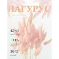 Сухоцвет Лагурус персик для декора, букет Зайцехвост, Stabflora