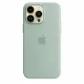Чехол Apple iPhone 14 Pro Max Silicone Case with MagSafe Succulent MPTY3ZE/A