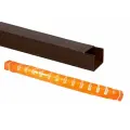 Кабель-канал 100х60 (12м) ЭКО 3D (бук) TDM