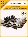 Конструктор Harry Potter Гарри Хогвартс: волшебные шахматы