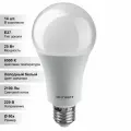 (14 шт.) Светодиодная лампочка онлайт A60 25В 230В 6500K E27
